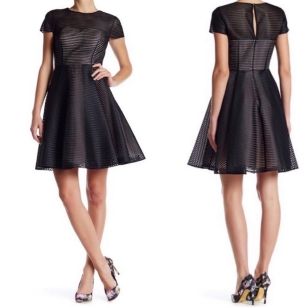 NWT Ted Baker Carniva fit & Flare Dress (Ted Size 2; US6)